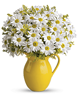 Teleflora's Sunny Day Pitcher of Daisies
